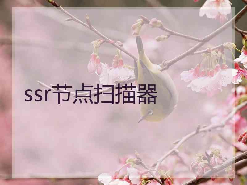 ssr节点扫描器