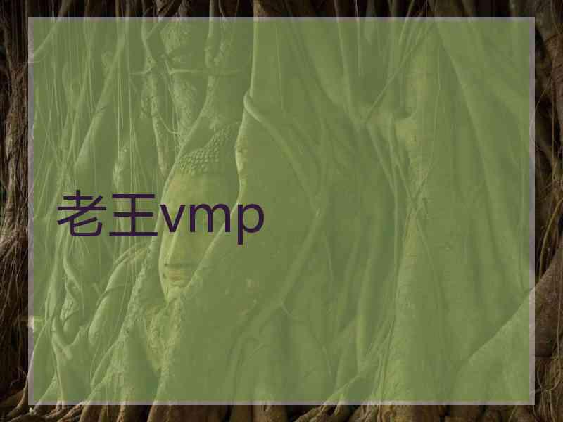 老王vmp