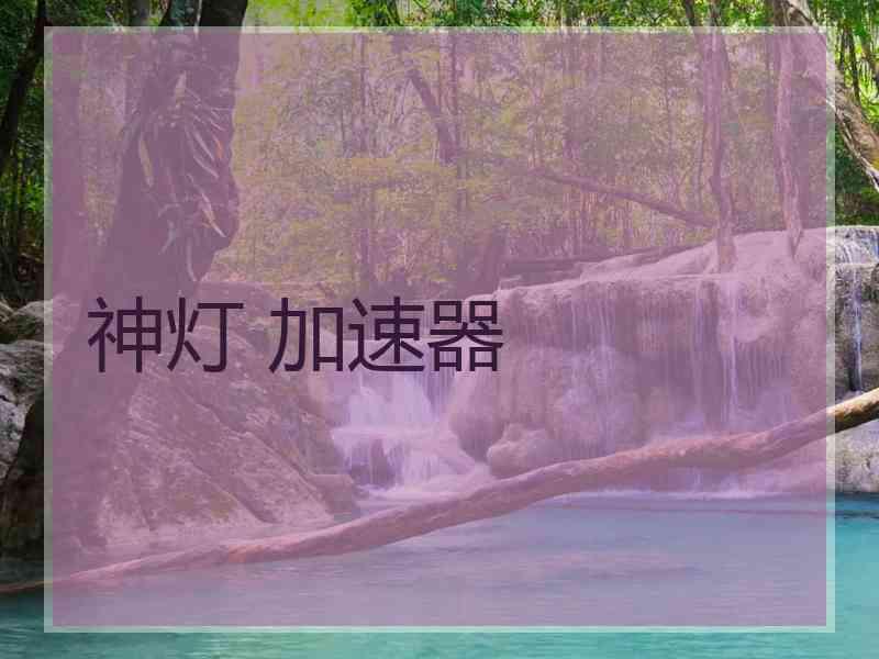 神灯 加速器