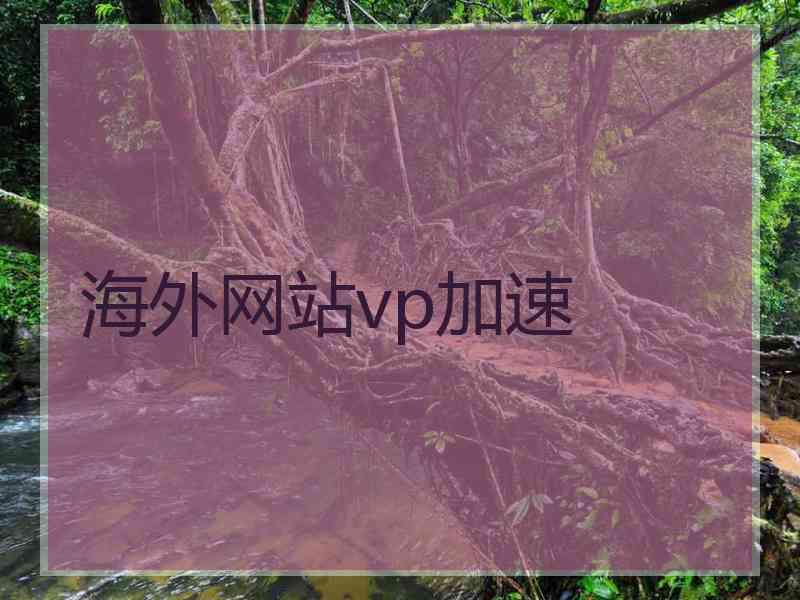 海外网站vp加速