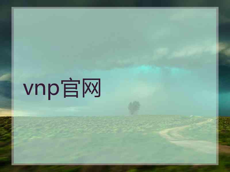 vnp官网