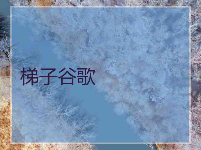 梯子谷歌