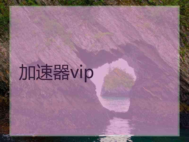加速器vip
