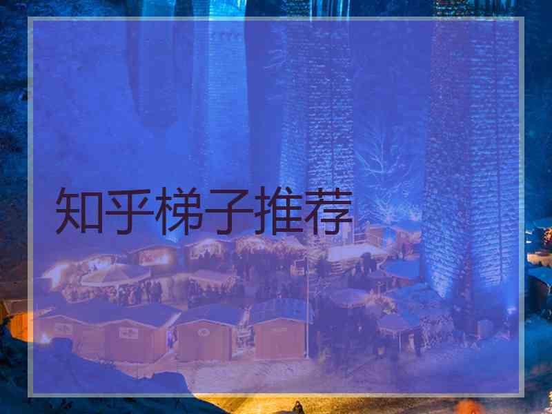 知乎梯子推荐