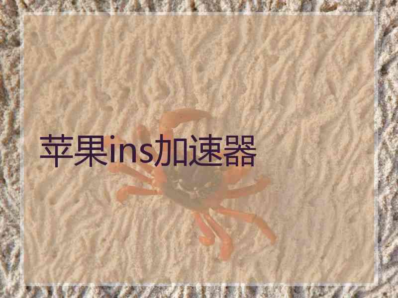 苹果ins加速器