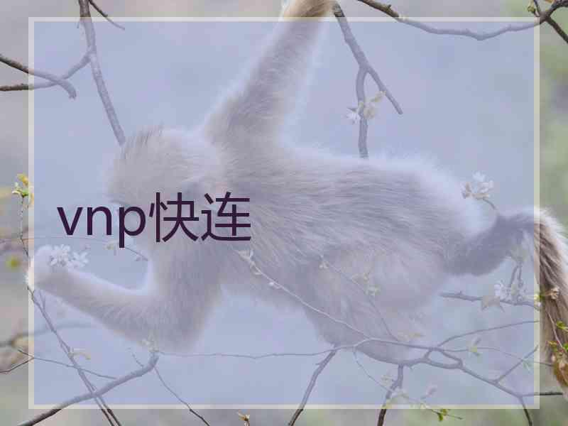 vnp快连