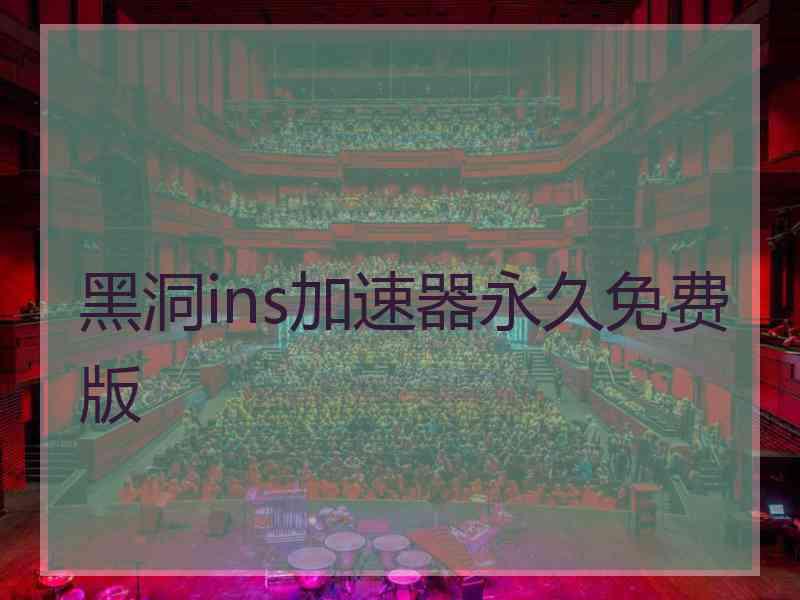 黑洞ins加速器永久免费版