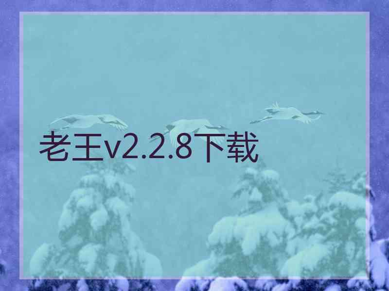 老王v2.2.8下载