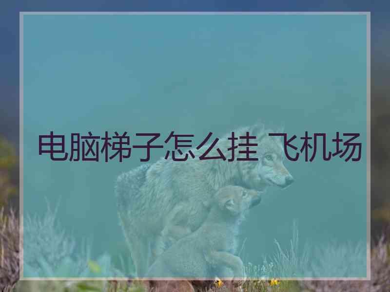 电脑梯子怎么挂 飞机场