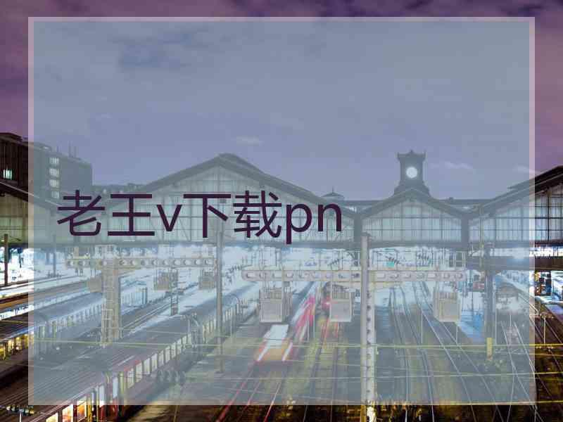 老王v下载pn