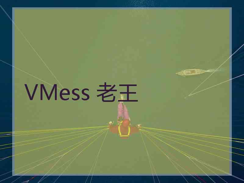 VMess 老王