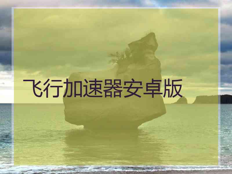 飞行加速器安卓版