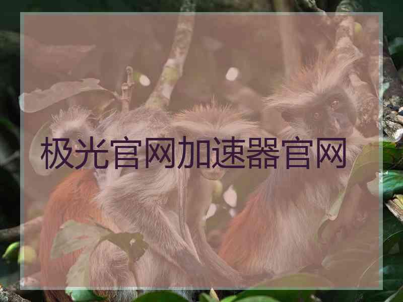 极光官网加速器官网