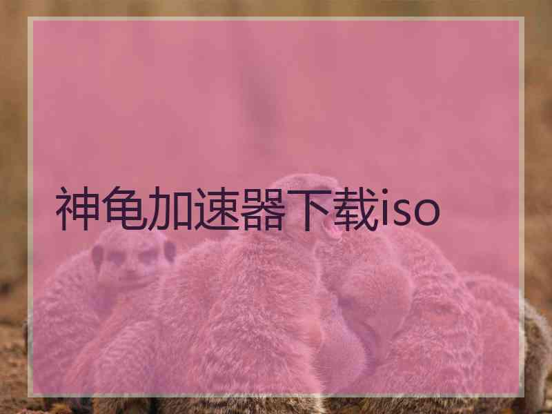 神龟加速器下载iso