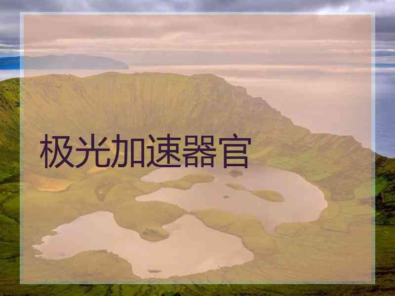 极光加速器官