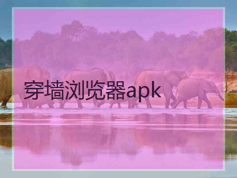 穿墙浏览器apk