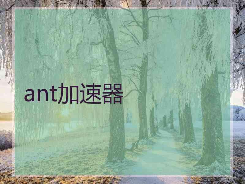 ant加速器