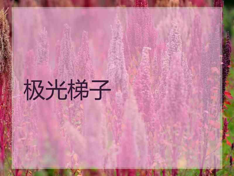 极光梯子