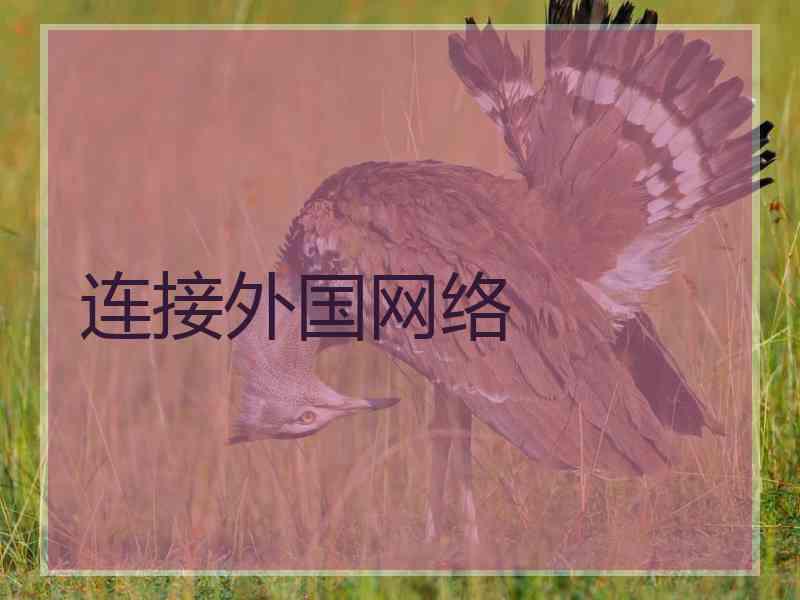 连接外国网络