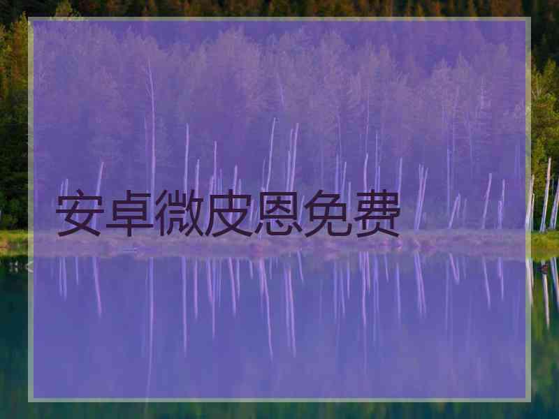 安卓微皮恩免费