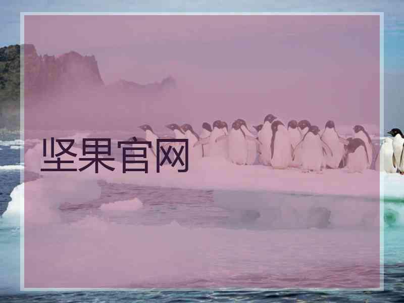 坚果官网