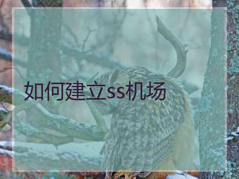 如何建立ss机场