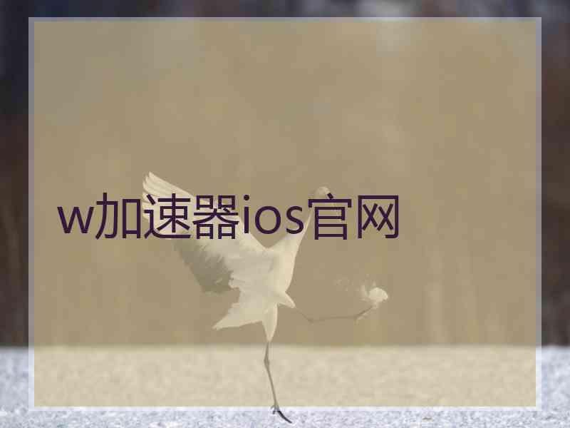 w加速器ios官网