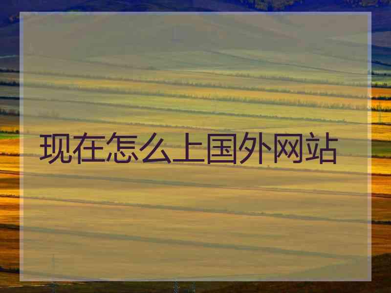 现在怎么上国外网站