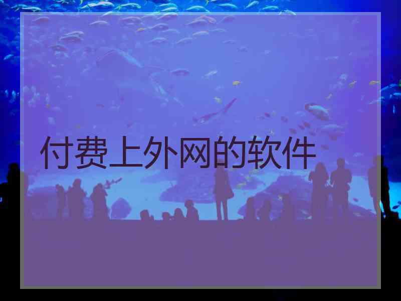 付费上外网的软件
