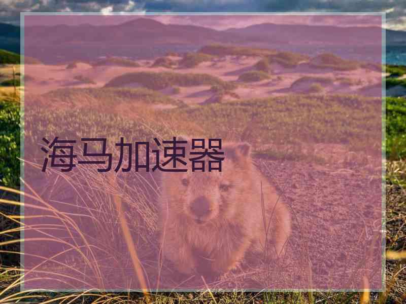 海马加速器