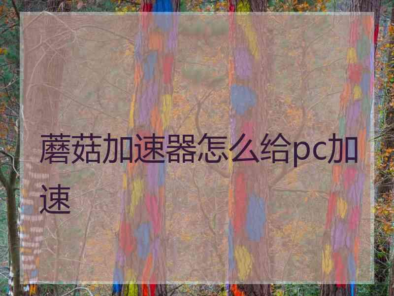 蘑菇加速器怎么给pc加速
