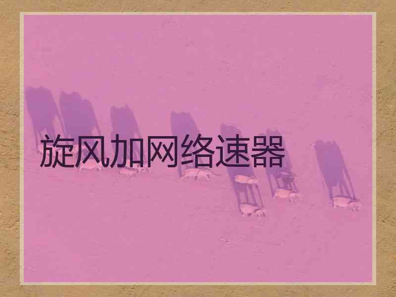 旋风加网络速器