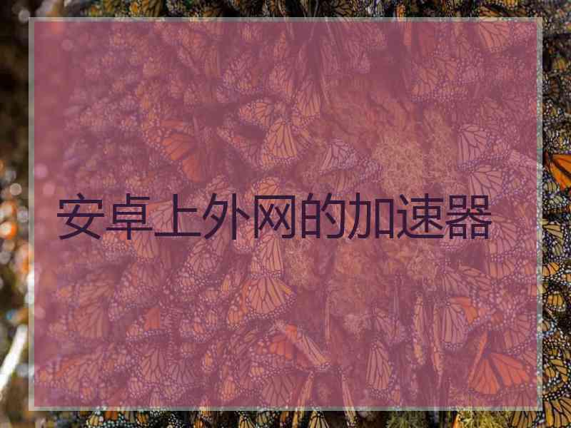 安卓上外网的加速器