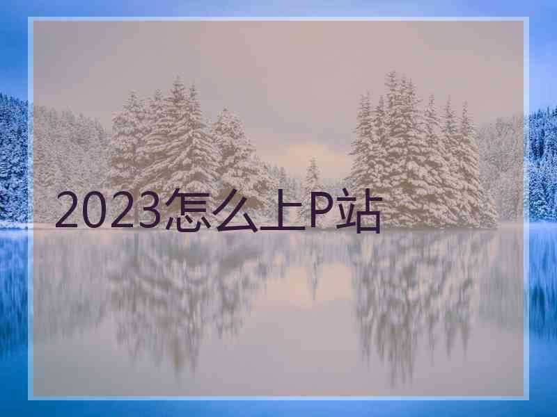 2023怎么上P站