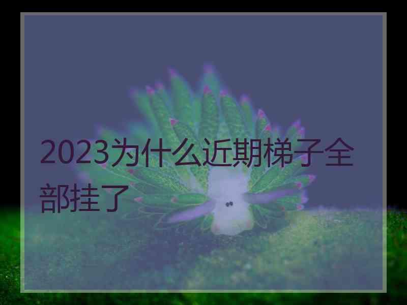 2023为什么近期梯子全部挂了