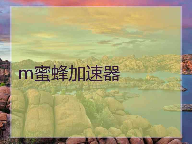 m蜜蜂加速器