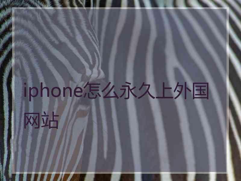 iphone怎么永久上外国网站