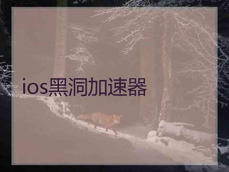 ios黑洞加速器