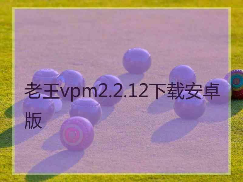 老王vpm2.2.12下载安卓版