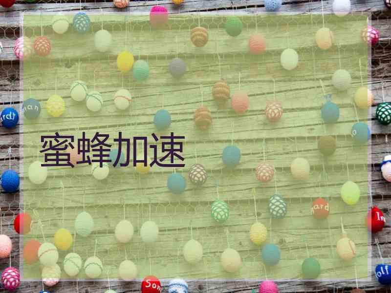 蜜蜂加速