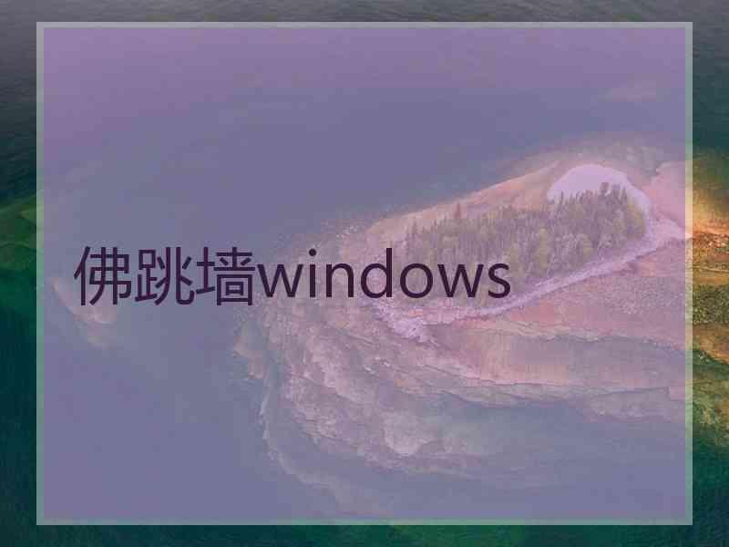 佛跳墙windows