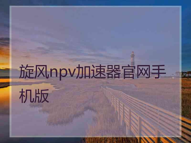 旋风npv加速器官网手机版