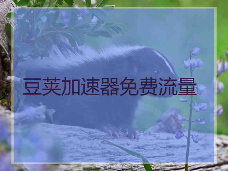 豆荚加速器免费流量