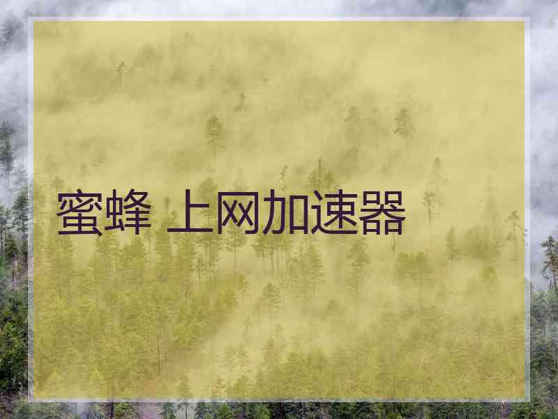 蜜蜂 上网加速器