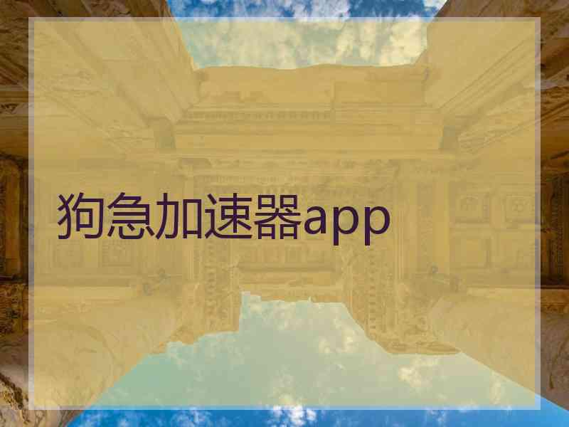 狗急加速器app
