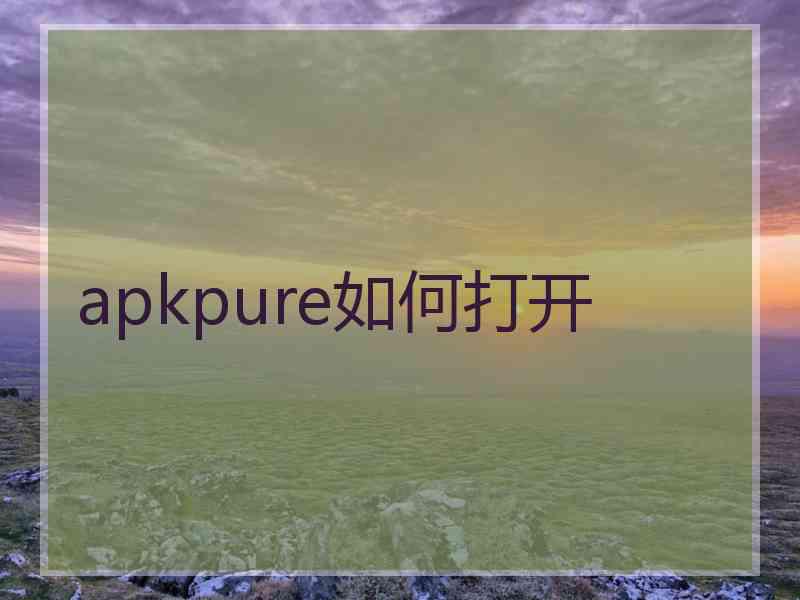 apkpure如何打开