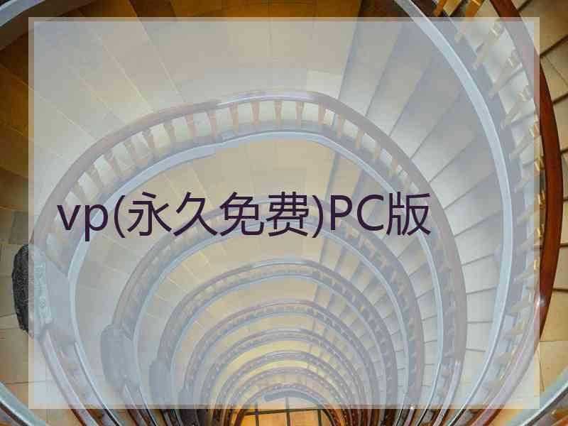 vp(永久免费)PC版