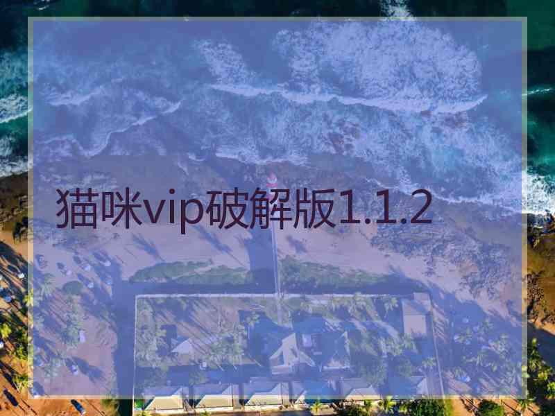 猫咪vip破解版1.1.2