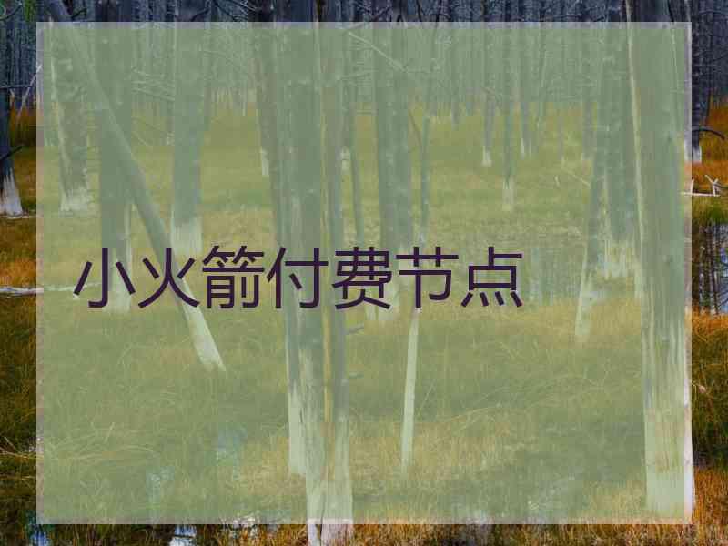 小火箭付费节点