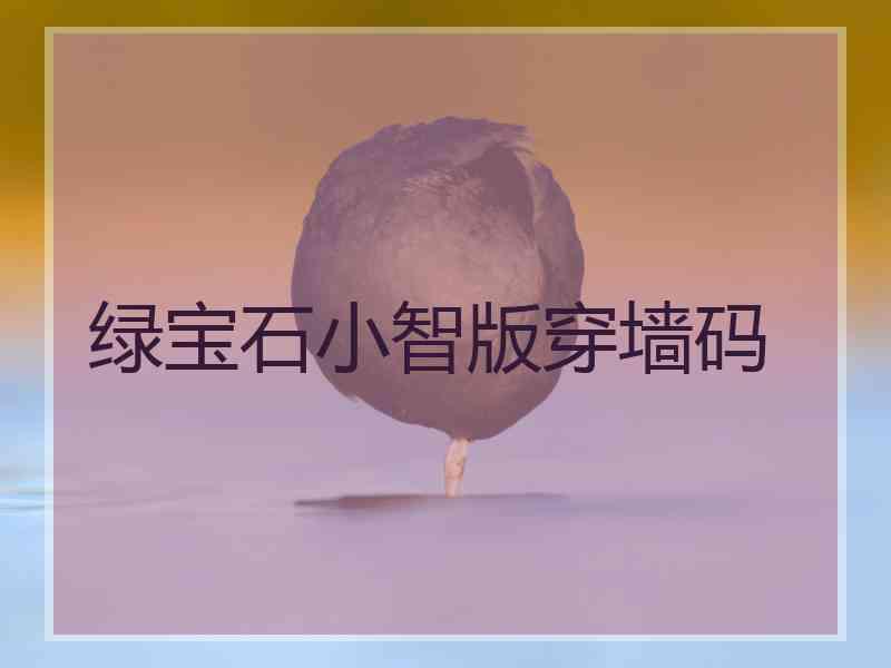 绿宝石小智版穿墙码